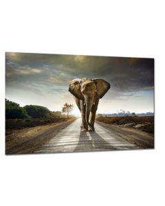Tavla Canvas 75x100 Elephant