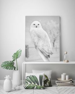 Tavla Canvas 50x70 Winter Owl