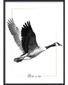 Poster 30x40 B&W Flying goose (planpackad)